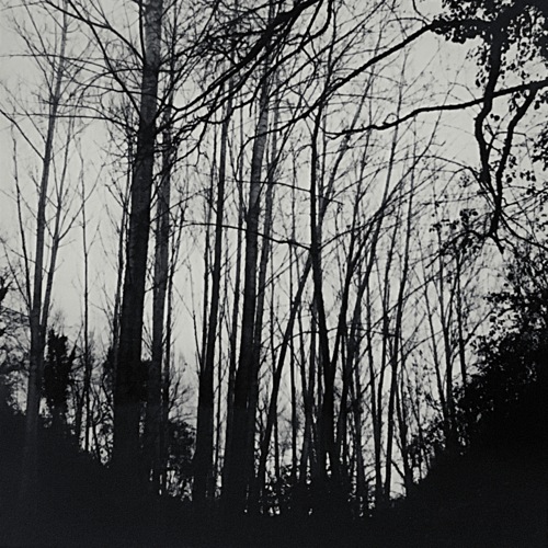 Ambients 1 by Mogubo