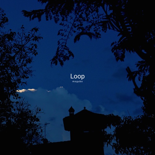 Loop by Mogubo