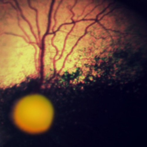 One Morning in Autumn by Mogubo
